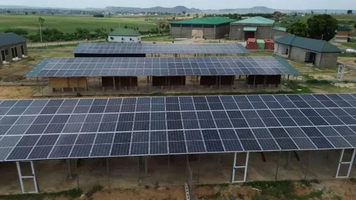 Empresa brasileira leva energia solar para fazenda na Nigéria e reduz uso de diesel